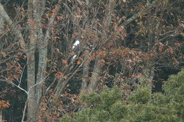 201124-20.JPG