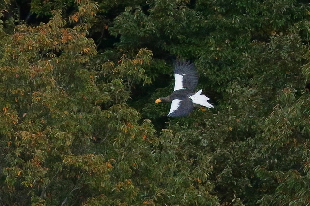 201124-21.JPG