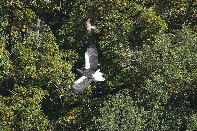 201124-3.JPG