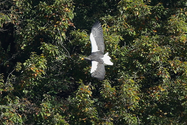 201124-5.JPG